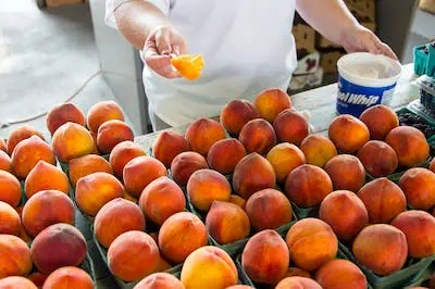 0017 buah persik