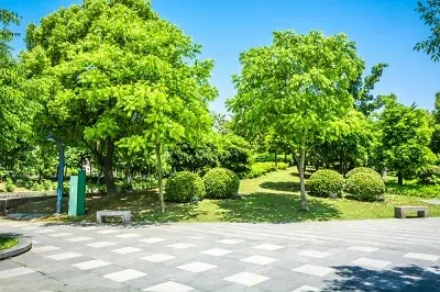 taman