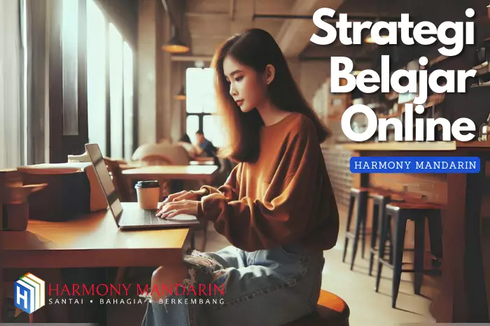 Blog 3 Strategi Belajar Online di Kursus bahasa Mandarin harmonymandarin.com