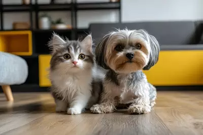 Anak Kucing, Anak Anjing