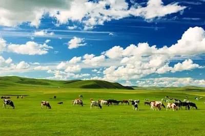 Tips perjalanan ke Mongolia Dalam