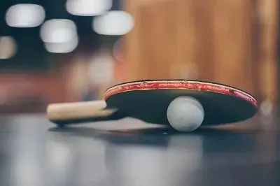 Main bola ping pong